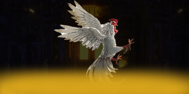 Khám phá thế giới của CONGA6789 - Cổng trò chơi phổ biến nhất được quan tâm
Khám phá thế giới của CONGA6789 - Cổng trò chơi phổ biến nhất được quan tâm