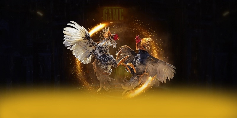 CONGA6789 - Thương hiệu game trực tuyến mang đến trải nghiệm giải trí đỉnh cao hiện nay – Tổng hợp game hot tại CONGA6789 CONGA6789 - Thương hiệu game trực tuyến mang đến trải nghiệm giải trí đỉnh cao hiện nay – Tổng hợp game hot tại CONGA6789