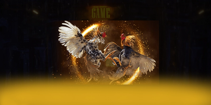 tài xỉu online - Tổng quan về hệ thống từ cộng đồng game thủ.