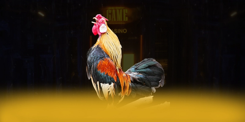 UU88 - Thương hiệu uy tín được cộng đồng game thủ công nhận – Khám phá độ uy tín của UU88 UU88 - Thương hiệu uy tín được cộng đồng game thủ công nhận – Khám phá độ uy tín của UU88