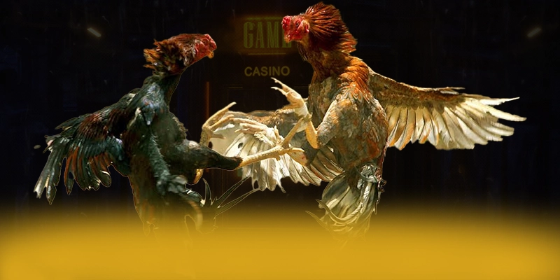 DAGA88 - Trang game mượt mà được quan tâm hàng đầu