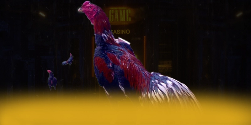 Khám phá hành trình của VWIN - Sân chơi uy tín được cộng đồng đánh giá cao
Khám phá hành trình của VWIN - Sân chơi uy tín được cộng đồng đánh giá cao