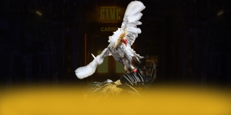 
Giới thiệu tài xỉu online - Cổng cá cược được yêu thích nhất mới nhất hiện nay
