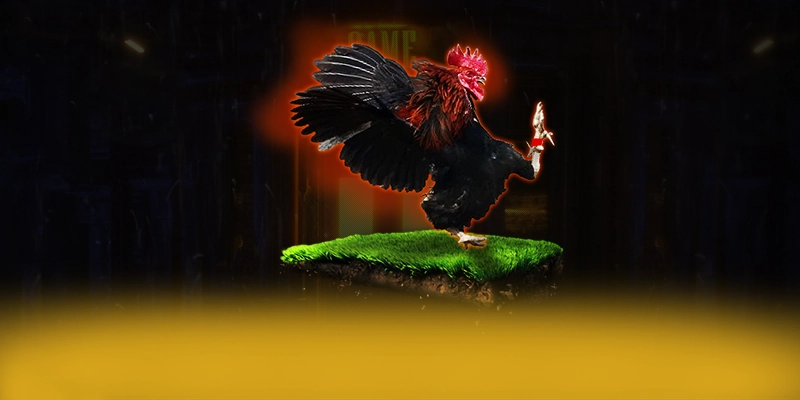 CONGA6789 – Cổng giải trí được tin dùng, được cộng đồng đánh giá tích cực.