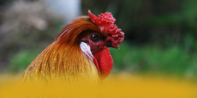 FAFA191 – Sảnh game uy tín số 1, được cộng đồng game thủ tin tưởng.