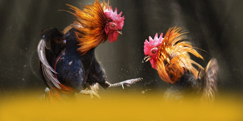 FAFA191 - Cổng trò chơi được đánh giá cao tại Việt Nam