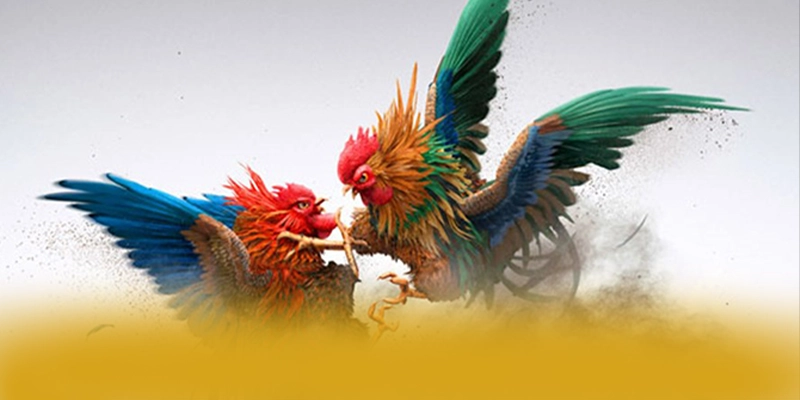 
Cập nhật thông tin về GEM88 - Nhà cái uy tín số 1 trên thị trường
