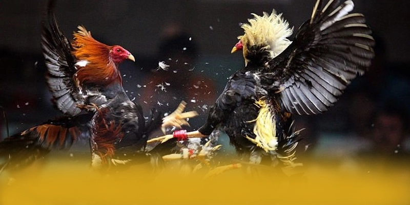 tài xỉu online - Ứng dụng giải trí mang đến thế giới game đa dạng hiện nay – Trải nghiệm tài xỉu online