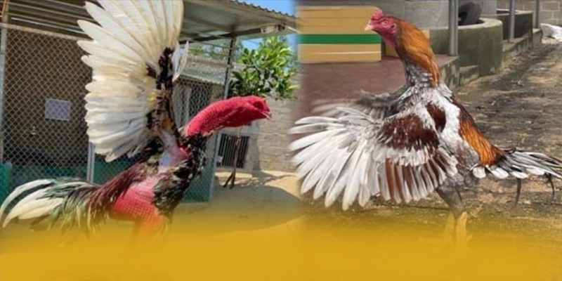 tài xỉu online – Sảnh game hàng đầu Việt Nam, khẳng định vị thế hàng đầu tại Việt Nam.