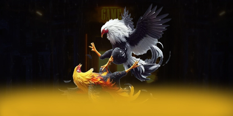 GO8 - Cổng game tối ưu số 1 Việt Nam GO8 - Cổng game tối ưu số 1 Việt Nam