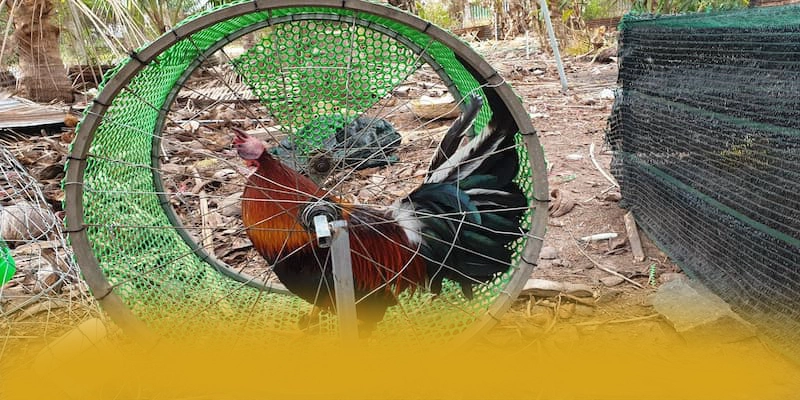 Khám phá hành trình của UU88 - Cổng game được đánh giá cao cho người chơi
Khám phá hành trình của UU88 - Cổng game được đánh giá cao cho người chơi