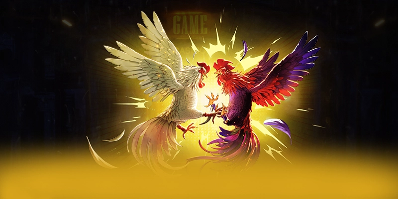 Khám phá ngay BL555 - Cổng game bài hàng đầu Việt Nam cho người chơi
Khám phá ngay BL555 - Cổng game bài hàng đầu Việt Nam cho người chơi